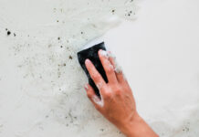 Jak ošetřit mokrou zeď: Když vlhkost leze do domu