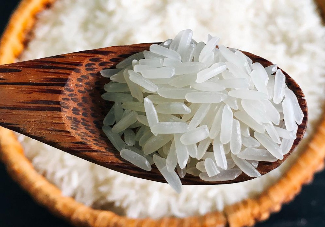 gao_st25-rice-8458814_1280.jpg